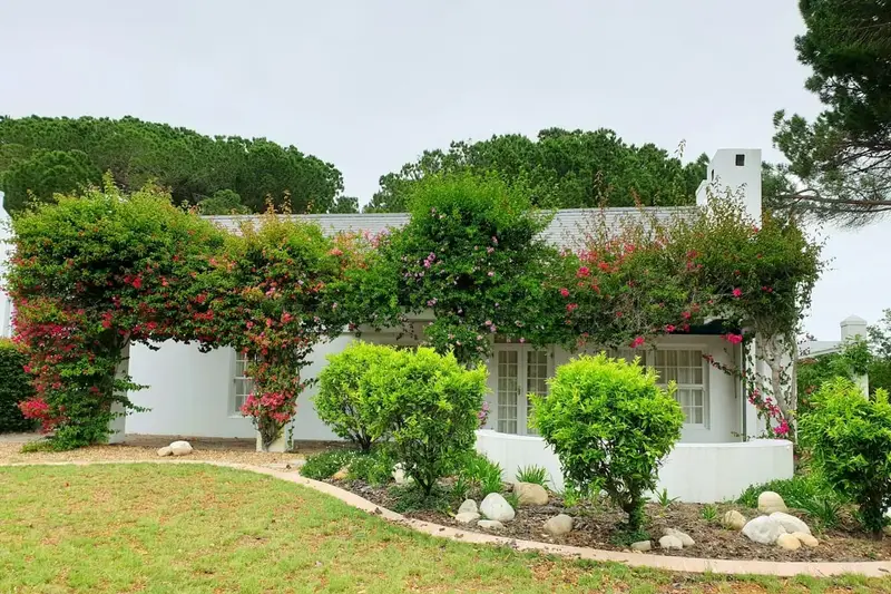 Casa blanca de una planta con jardín florido