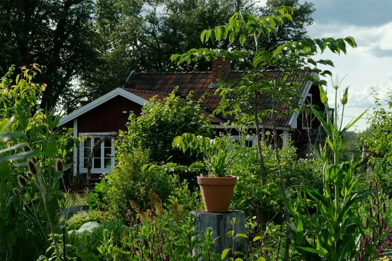 Casa de madera rodeada de vegetación
