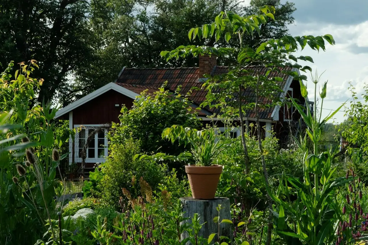 Casa de madera rodeada de vegetación