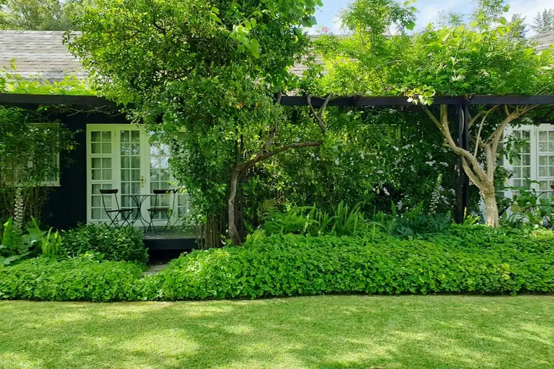 Casa con galería cubierta de enredaderas y jardín