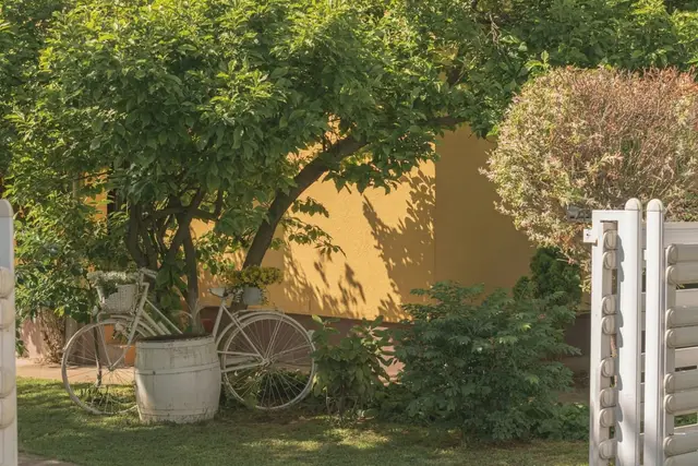 Jardín con árbol grande y rincón con plantas