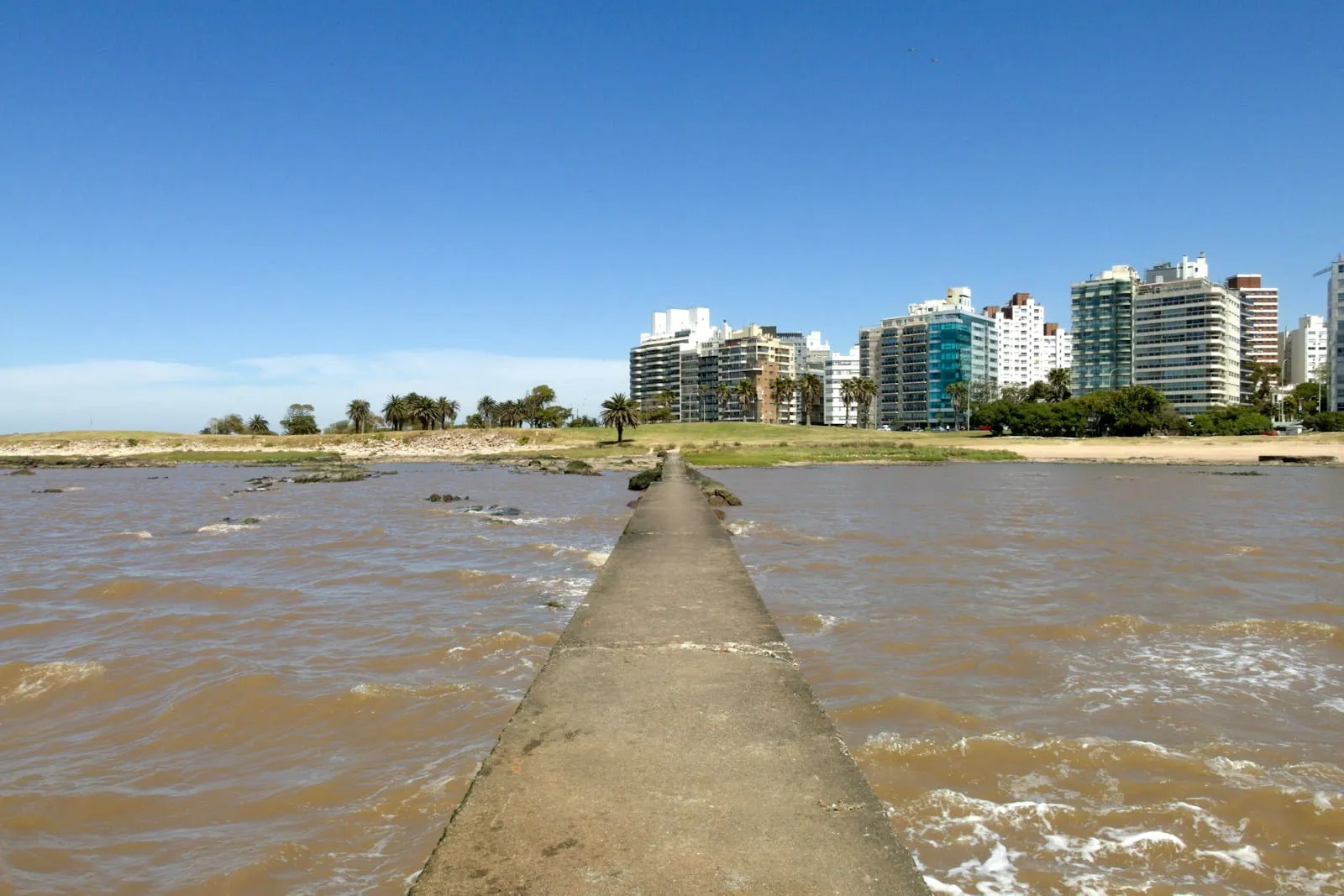 Edificios de Pocitos frente a la rambla